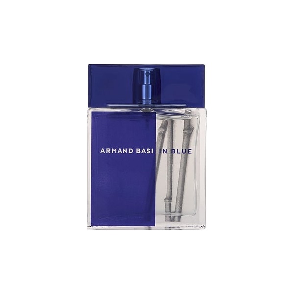 Armand Basi In Blue