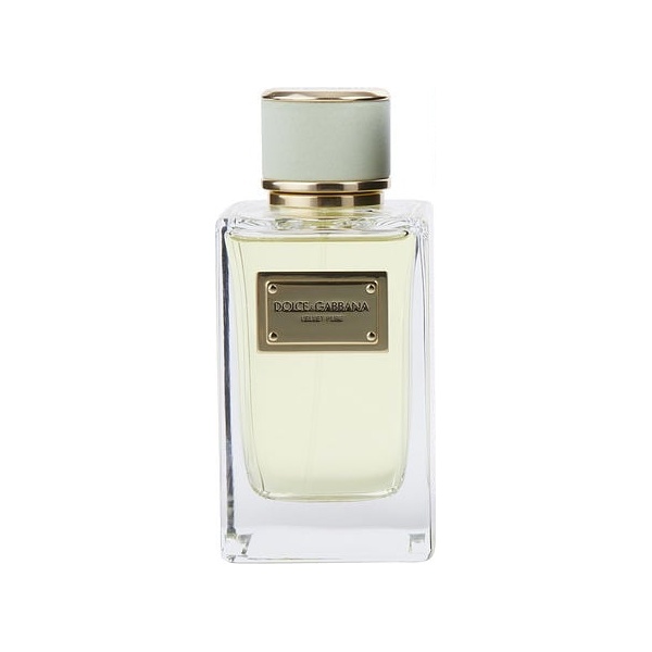 Dolce & Gabbana Velvet Pure