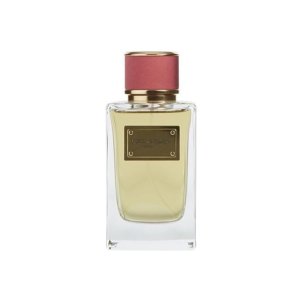 Dolce & Gabbana Velvet Rose