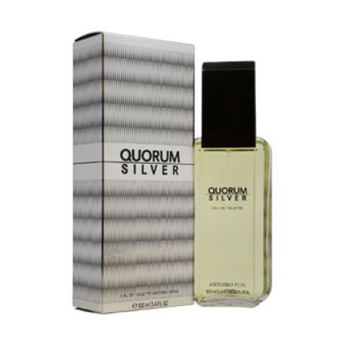 Quorum Silver  Eau de Toilette